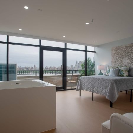 HudsonBirthingSuite2